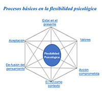 Los procesos básicos de ACT