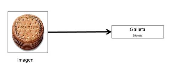 La imagen de galleta se une por una flecha con la etiqueta galleta