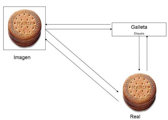 La etiqueta la imagen de galleta y la galleta real unidas por flechas